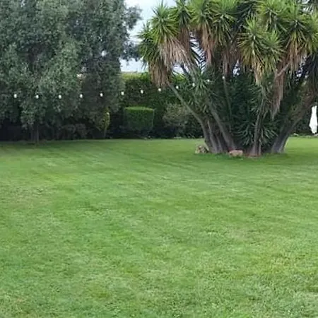 公寓 Dual - 4 Posti Letto - Aeroporto E Fiera - Self Check-in 菲乌米奇诺