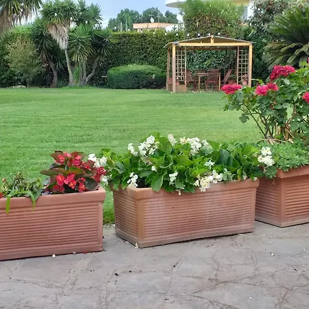 Dual - 4 Posti Letto - Aeroporto E Fiera - Self Check-in * 菲乌米奇诺